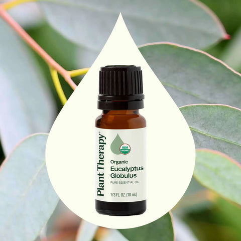 Organic Eucalyptus Globulus Essential Oil, 10 ml - Plant Therapy