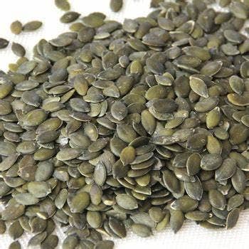Luffa Sponge Gourd, Ghosaval Loofa Seeds - The Rike
