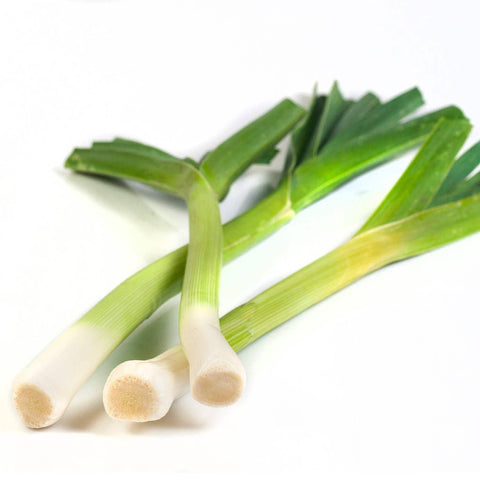 Leeks, 1500 Seeds - The Rike