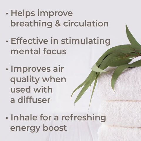 Organic Eucalyptus Globulus Essential Oil, 10 ml - Plant Therapy