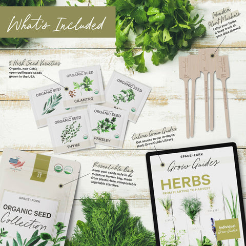 Organic 5 Herb Seed Collection - Non-GMO - Spade To Fork