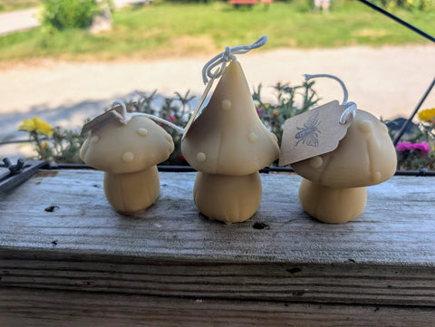 Beeswax Mushroom Candles - The Holton Homestead