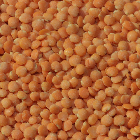 Organic Sunrise Red Lentils, $6.00/lb - Timeless