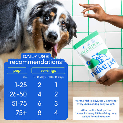 Allergy & Immune Chews, an Allergy & Itch Relief Supplement for Dogs: 30ct - Native Pet