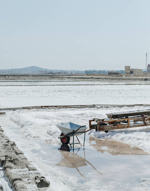 Trapani Pure Italian Fine Sea Salt - Jacobsen Salt Co.