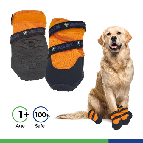 Urban Walkers III- Teal: X-Small - Healers PetCare