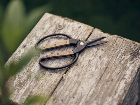Garden Scissors, Small - Barebones