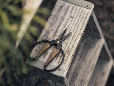 Garden Scissors, Small - Barebones