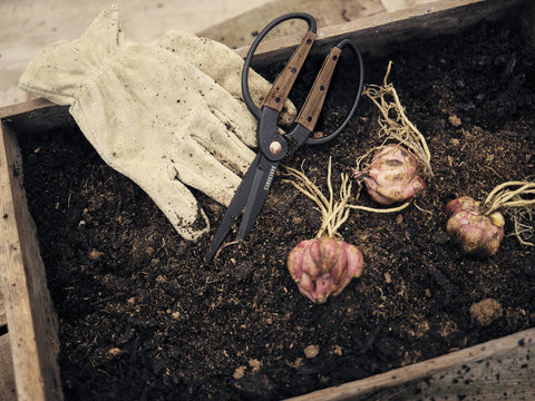 Garden Scissors, Large - Barebones