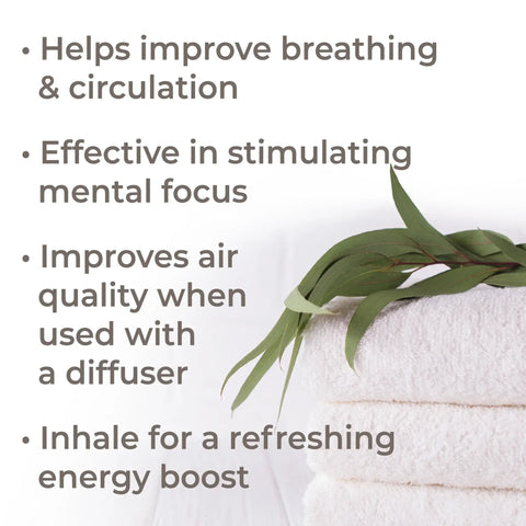 Roll-On Eucalyptus Globulus Essential Oil, 10 ml - Plant Therapy