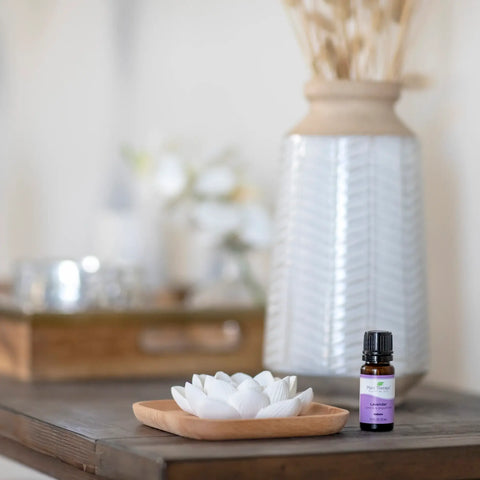 Passive Lotus Diffuser - Plant Therapy