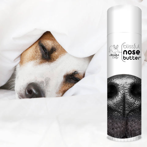Nose Butter for Rough, Dry Dog Noses in Tins & Tubes: 1oz tin - The Blissful Dog