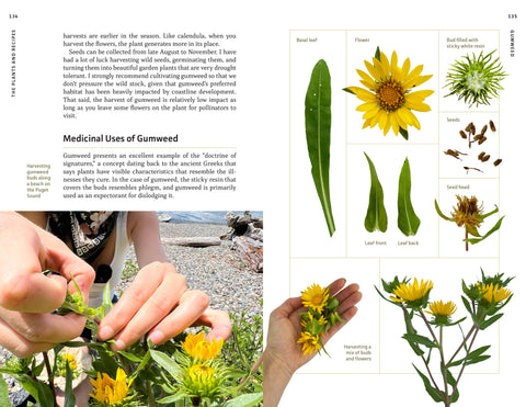 Medicinal Plants of the Pacific Northwest - Mountaineers Books