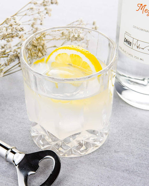 Crystal Cut Old Fashioned Whiskey Glasses, 10oz (Set of 2) - Lemonsoda