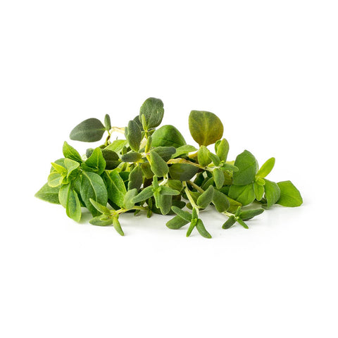 Italian Herb Mix, 9-pack - Click and Grow