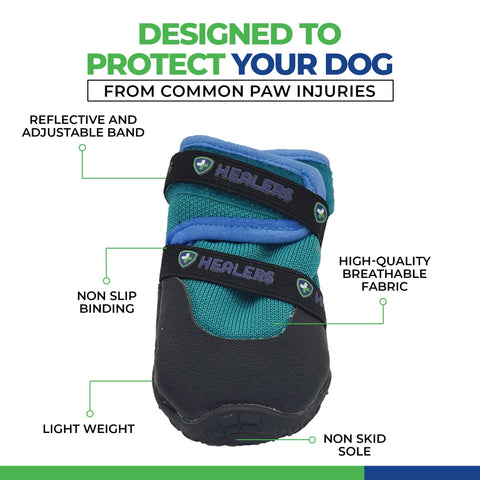 Urban Walkers III- Teal: Small - For Pets - Healers PetCare
