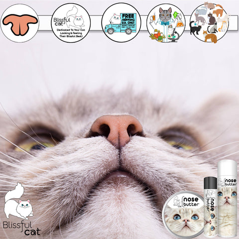 The Blissful Cat Nose Butter: 0.15oz Tube - The Blissful Dog