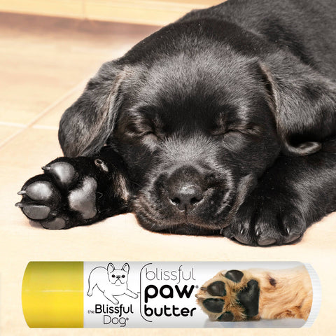 Paw Butter for Rough, Dry Dog Paws in Tins & Tubes, Paw Balm: 1 oz tin - The Blissful Dog