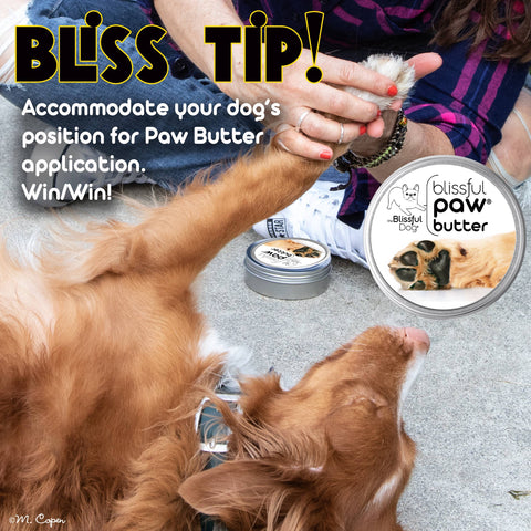 Paw Butter for Rough, Dry Dog Paws in Tins & Tubes, Paw Balm: 1 oz tin - The Blissful Dog