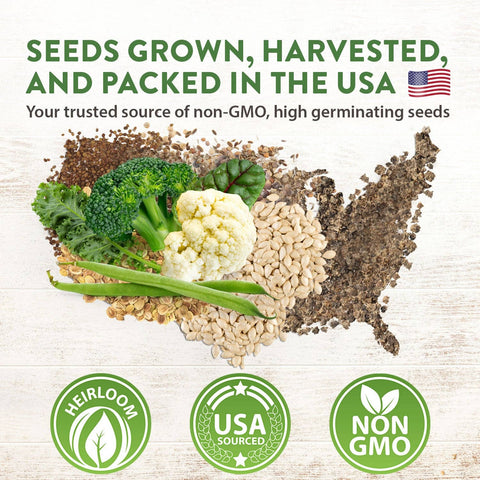 12 Winter Vegetable Seeds Varieties - Heirloom, Non-GMO - Homegrown Garden