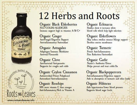 Elderberry & Honey Tonic, 16 oz - Roots And Leaves