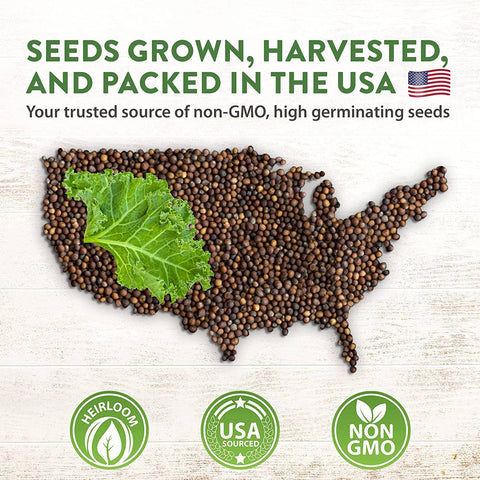 10 Lettuce and Leafy Greens Seeds, Heirloom, Non GMO - Homegrown Garden