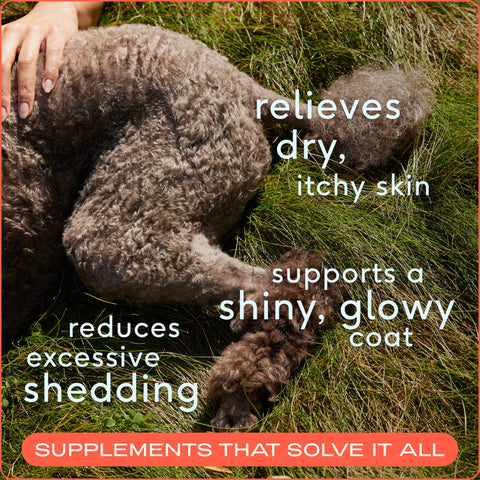 Omega-3 Fish Oil, Skin & Coat Health Supplement for Dogs: 8 oz - Native Pet