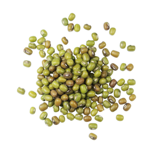 Organic Mung Beans, 16 oz - Edison Grainery