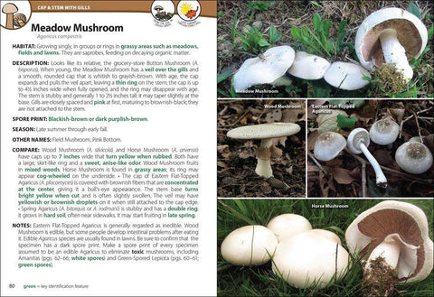 Mushrooms of the Northeast - AdventureKEEN