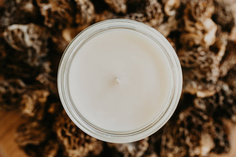 Morel Mushroom Hunting Candle, 8 oz, Soy Wax, Cotton Wick - Woodsy Wicks