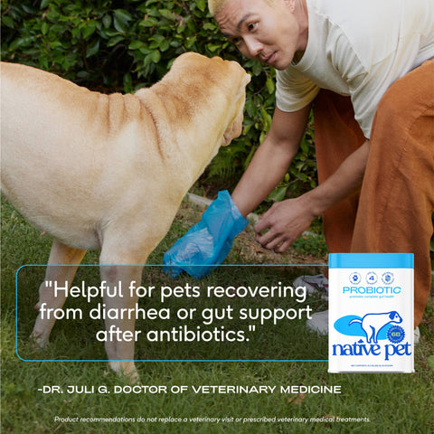 Probiotic & Prebiotic Powder Vet-Formulated Supplement for Dogs: 4.1 oz - Native Pet