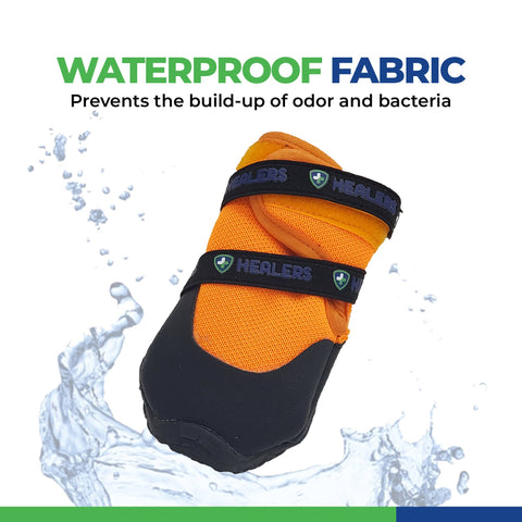 Urban Walkers III- Teal: XL - Healers PetCare