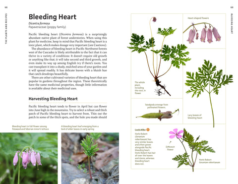 Medicinal Plants of the Pacific Northwest - Mountaineers Books