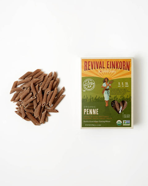 Organic Einkorn Penne, 8.8 oz - Revival Einkorn