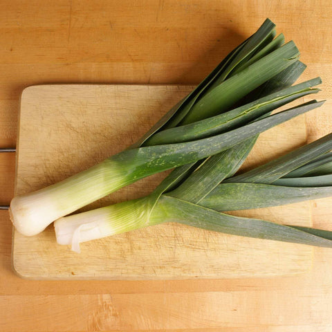Leeks, 1500 Seeds - The Rike