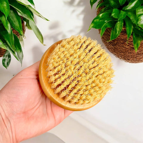 Bamboo Body Dry Brush - Bamboo Switch