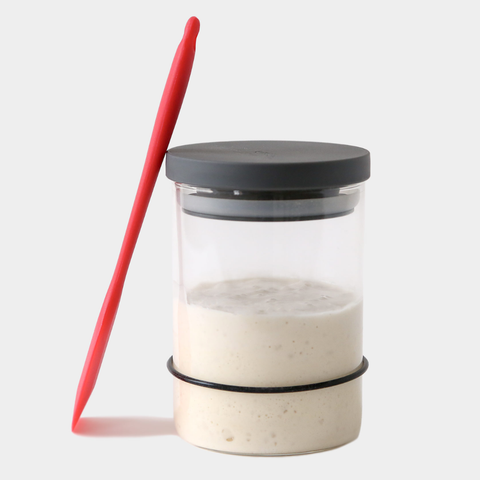 Sourdough Starter Kit - Breadtopia