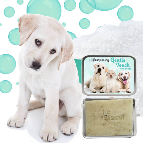Gentle Touch Dog Soap for Sensitive Skin - The Blissful Dog