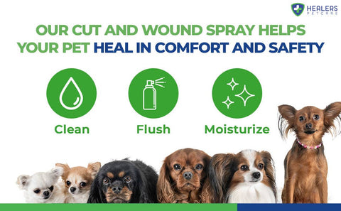 Wound Cleanser For Pets: 8 oz - Healers PetCare