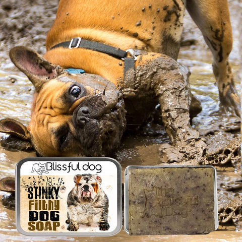 Stinky Filthy Dog Soap for Your Filthy Animal, 3.5-4 oz bar - The Blissful Dog