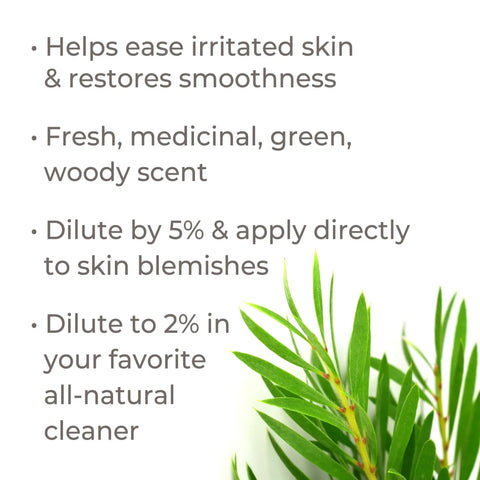 Tea Tree Essential Oil, 10 ml - Plant Therapy