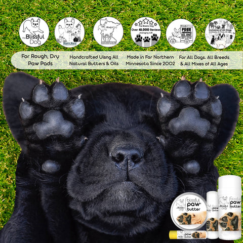 Paw Butter for Rough, Dry Dog Paws in Tins & Tubes, Paw Balm: 1 oz tin - The Blissful Dog