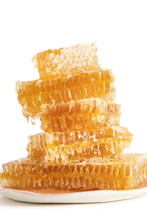 Raw and Unfiltered Cut Honeycomb, 7oz-8oz - Uncommon Bees
