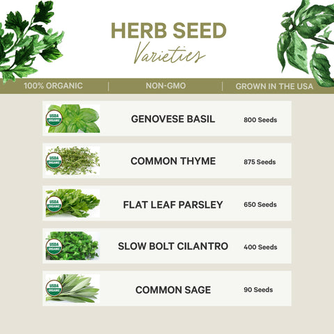 Organic 5 Herb Seed Collection - Non-GMO - Spade To Fork