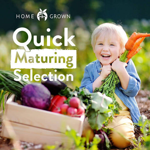 10 Heirloom Vegetable Seeds Variety Pack - Non GMO, Heirloom - Homegrown Garden