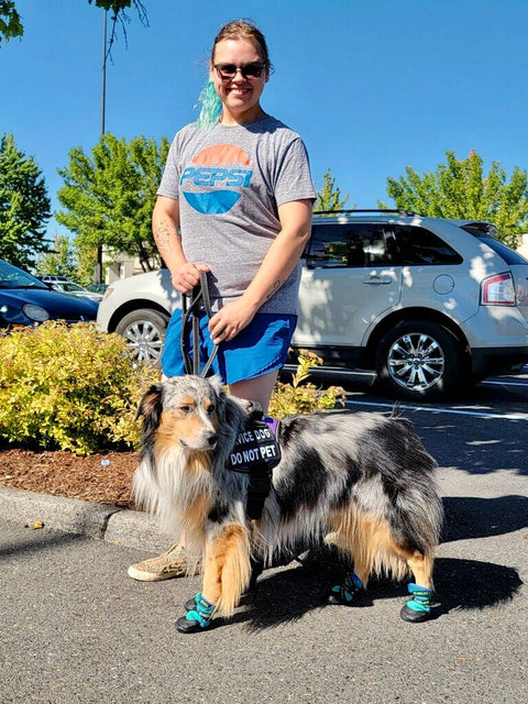 Urban Walkers III- Teal: XL - Healers PetCare