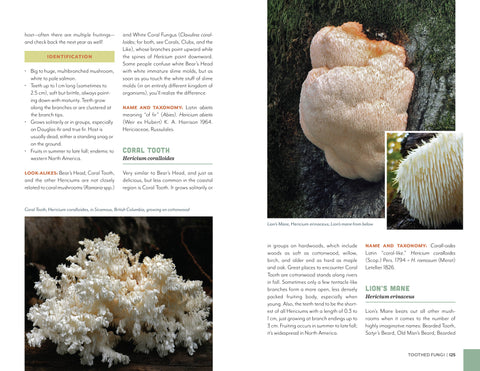 Fruits of the Forest: A Field Guide to PNW Edible Mushrooms - Mountaineers Books