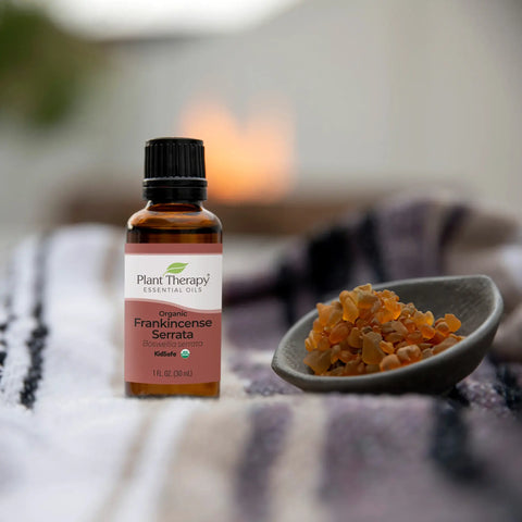 Organic Frankincense Serrata Essential Oil, 10 ml - Plant Therapy