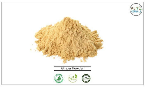 Ginger Powder: 16 oz (1 lb) - Alive Herbals