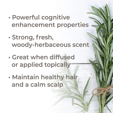 Rosemary 1,8-Cineole Essential Oil, 10 ml - Plant Therapy